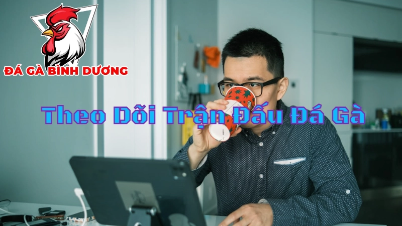 Cách Theo Dõi Trận Đấu Đá Gà Tại Bình Dương Hiệu Quả