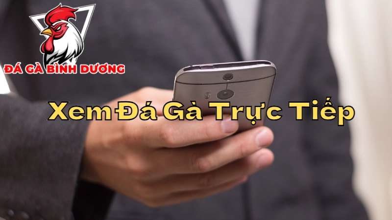 Hướng Dẫn Xem Đá Gà Trực Tiếp Tại Nhà