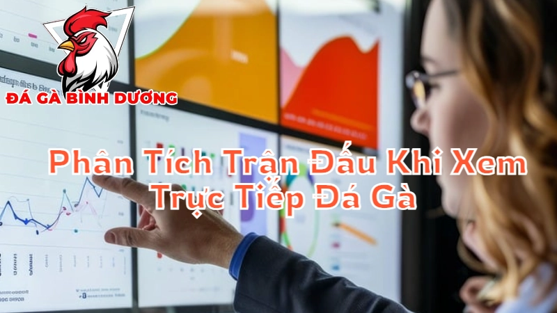 Phân Tích Trận Đấu Khi Xem Trực Tiếp Đá Gà Bình Dương