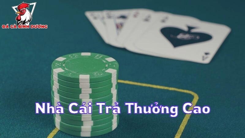 Nhà Cái Trả Thưởng Cao Cơ Hội Lớn Cho Người Chơi