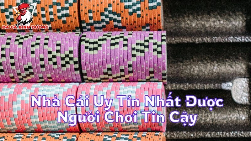 Nhà Cái Uy Tín Nhất Được Người Chơi Tin Cậy