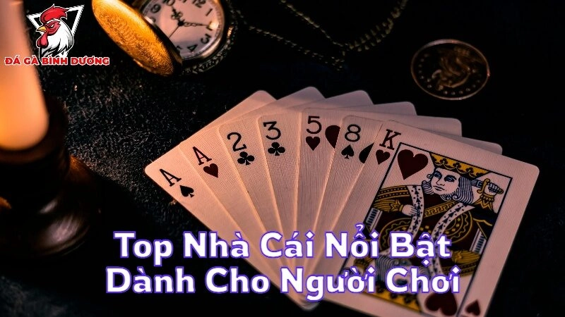 Top Nhà Cái Nổi Bật Dành Cho Người Chơi